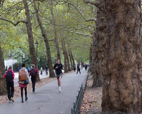 People jogging in a park emphasizing active lifestyle